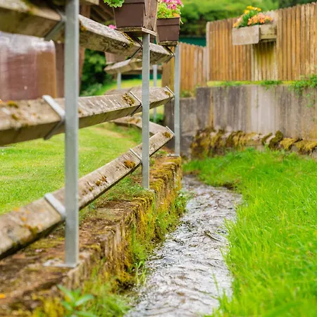 Gengs Linde Stühlingen