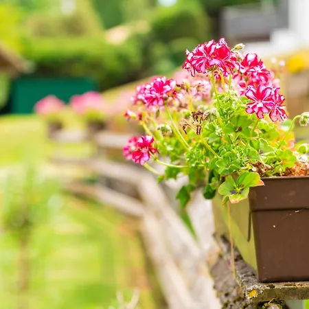 Gengs Linde 3* Stühlingen