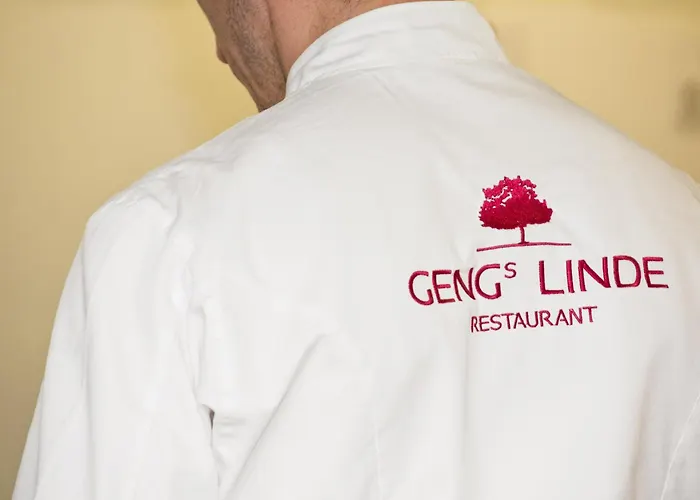 Gengs Linde מלון שטולינגן