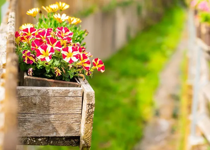 מלון Gengs Linde שטולינגן