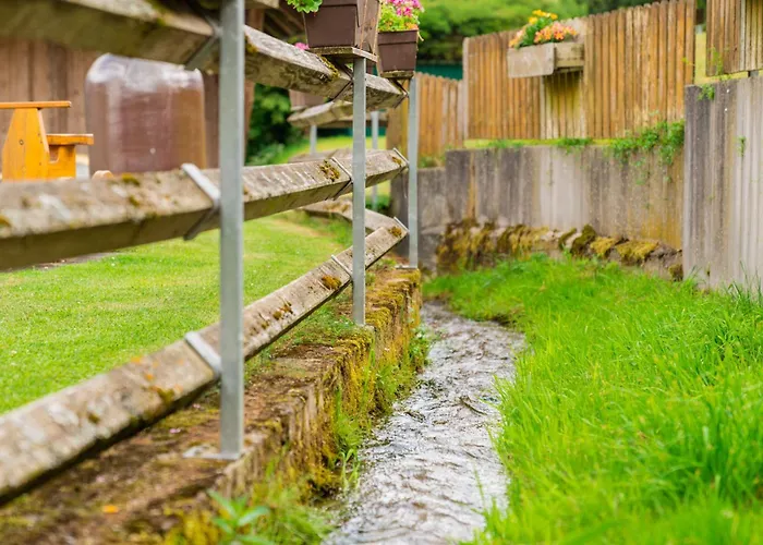 Gengs Linde שטולינגן