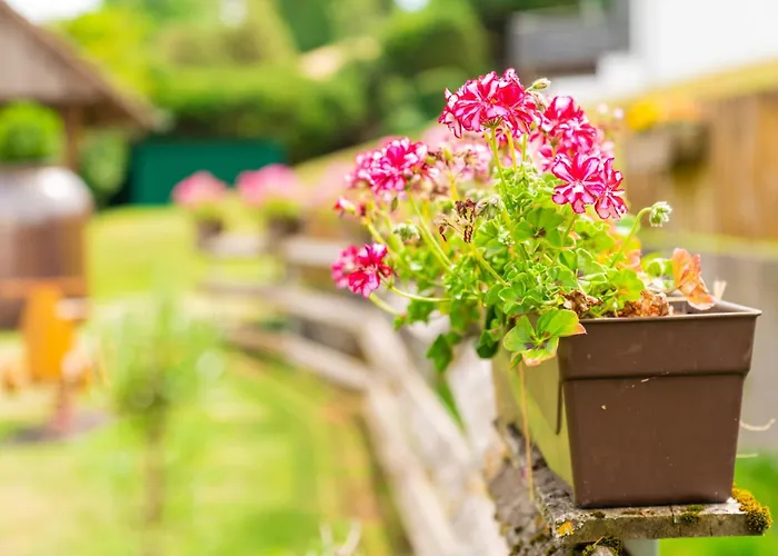 Gengs Linde 3* שטולינגן