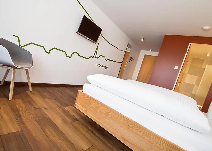 Gengs Linde מלון שטולינגן